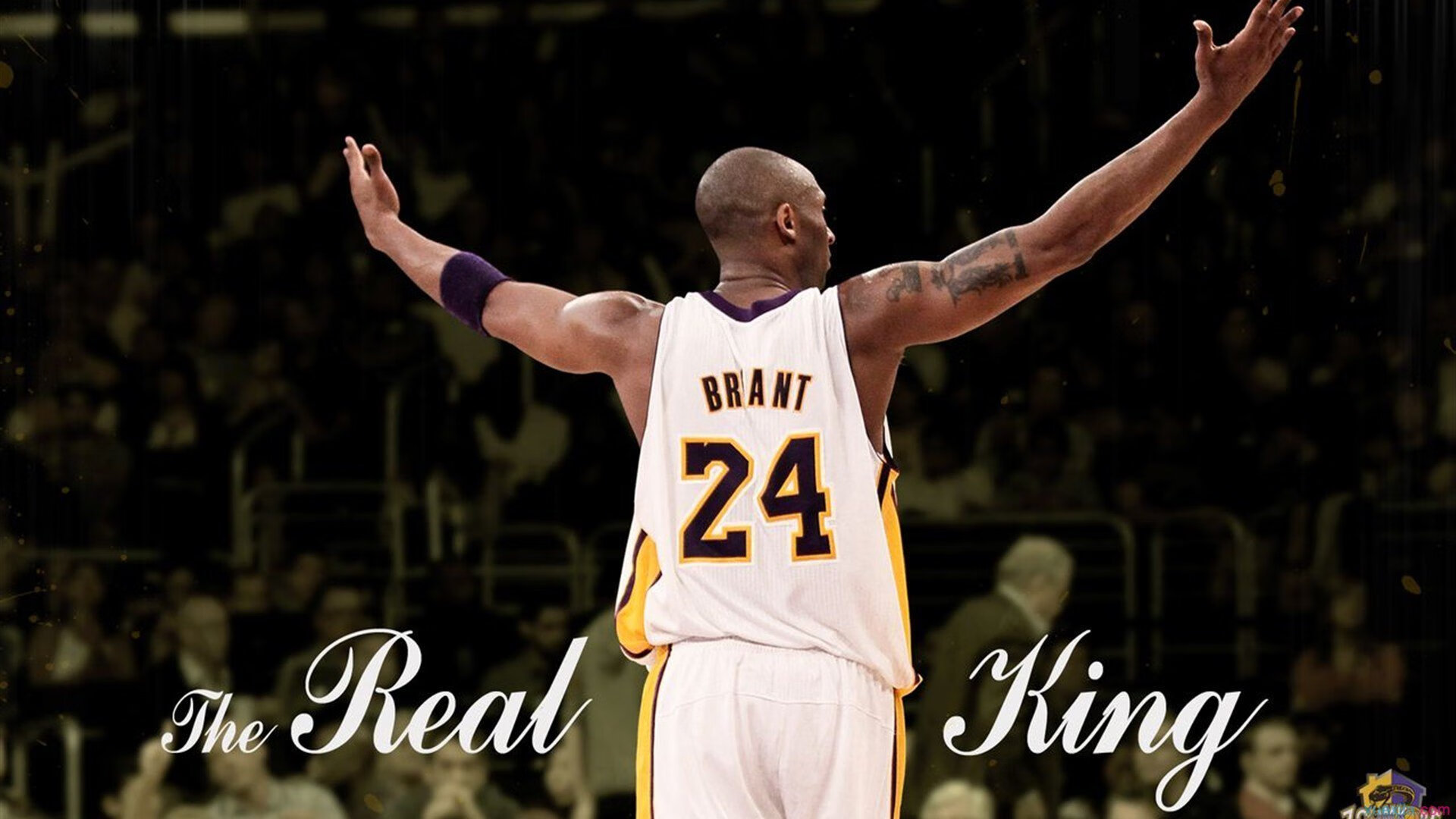 曼联名宿史蒂夫·布鲁斯喜迎新孙，家庭温暖抚平伤痛